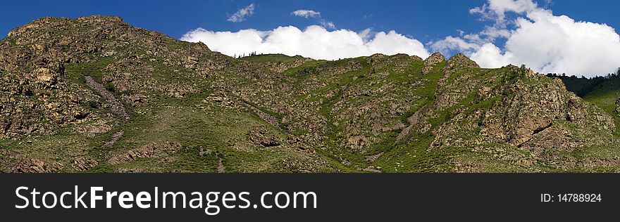 Panorama of a large forest against mountains. Panorama of a large forest against mountains