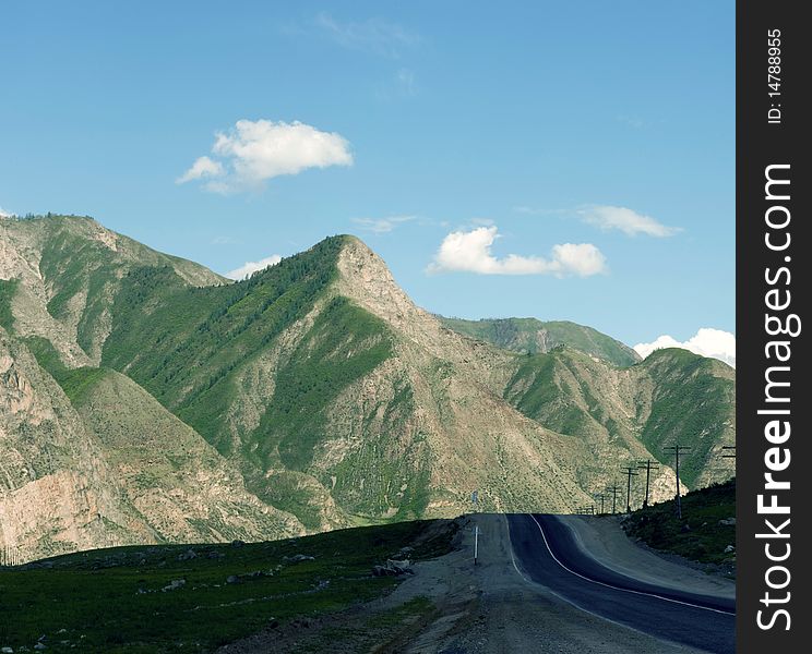 Panorama of hills and mountain vegetation. Panorama of hills and mountain vegetation