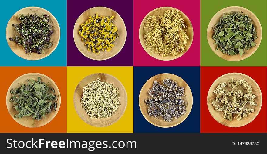 Healing herbs in wooden bowls on colorful modern  background