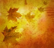 Vintage Background Stock Images Vintage Background Stock Images