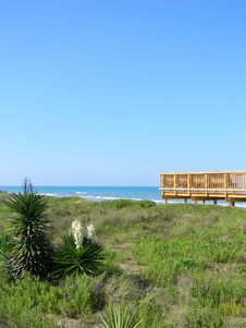 Florida Beach And Dunes Stock Photos Florida Beach And Dunes Stock Photos