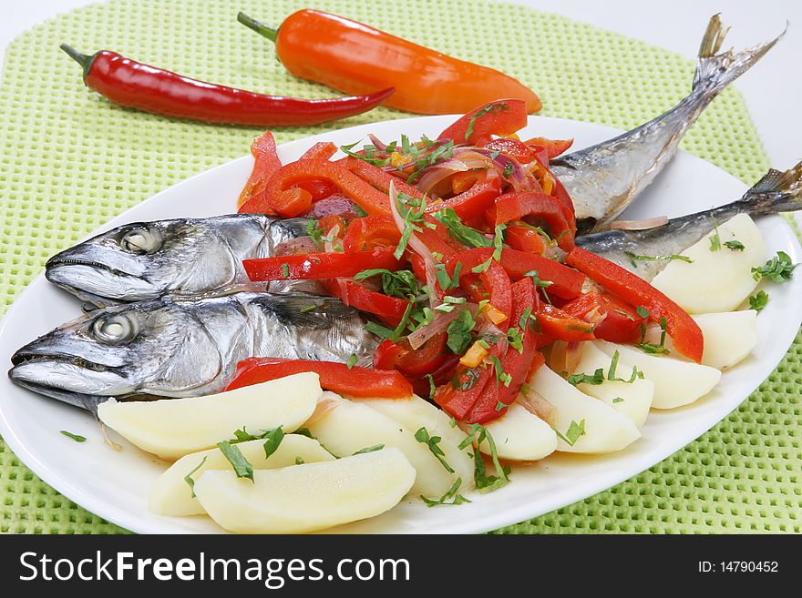 Atlantic Mackerel Fish