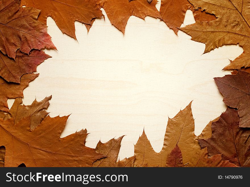 Autumn background made of leafs on wooden board
