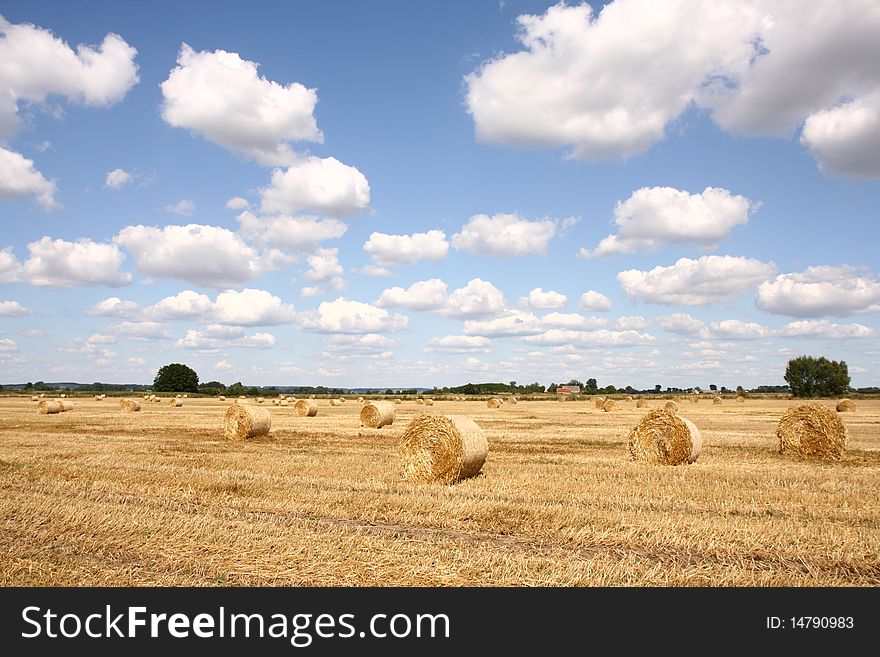 Hay Bales On A Field