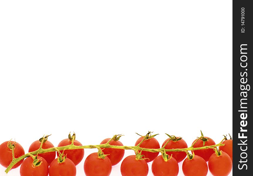 A row of cherry tomatoes on the vine, with a white background. A row of cherry tomatoes on the vine, with a white background