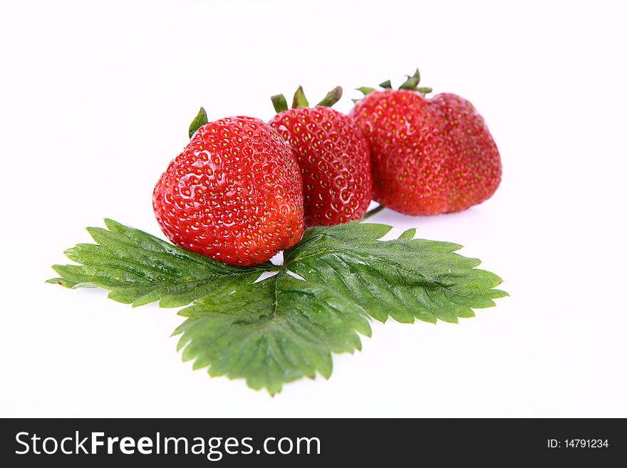 Strawberries on a leaf on white background
