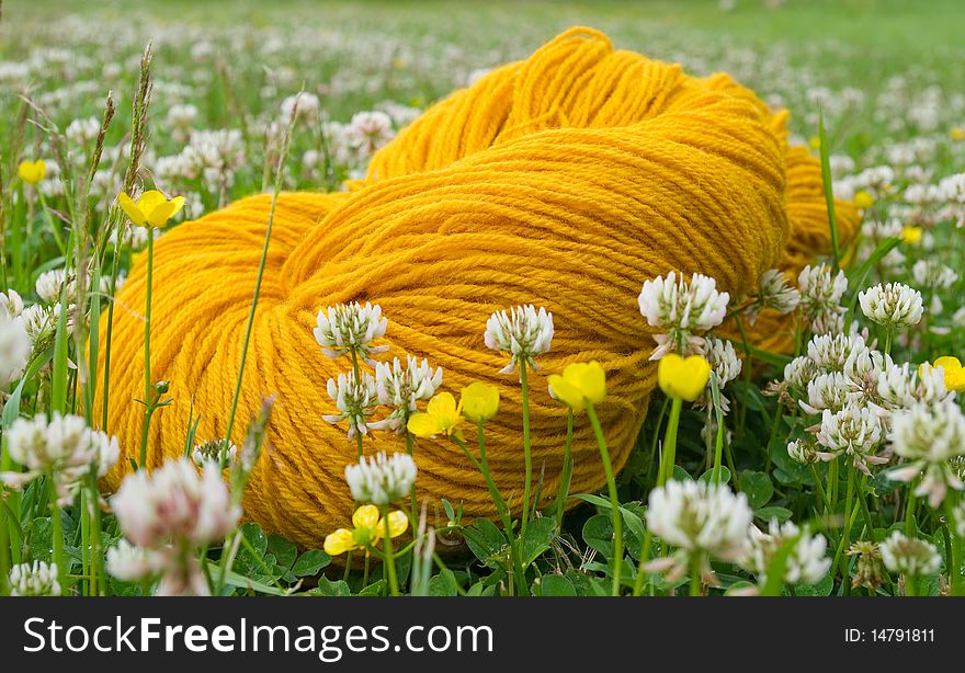 Yellow threads and yellow flowers. Yellow threads and yellow flowers.