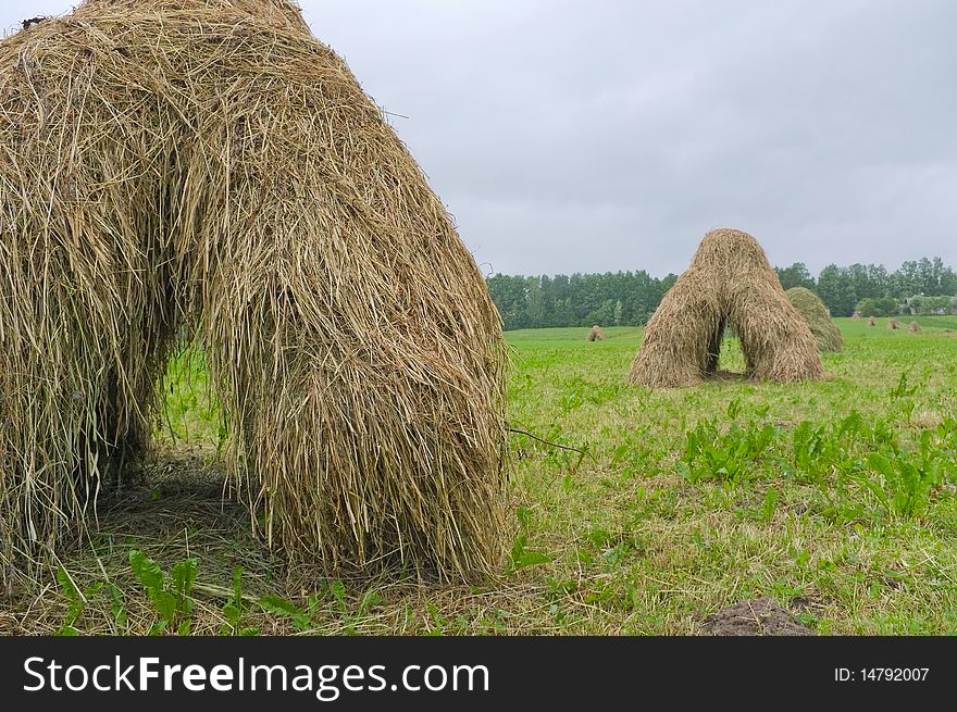 Horizontal photo landscape with haystacks.