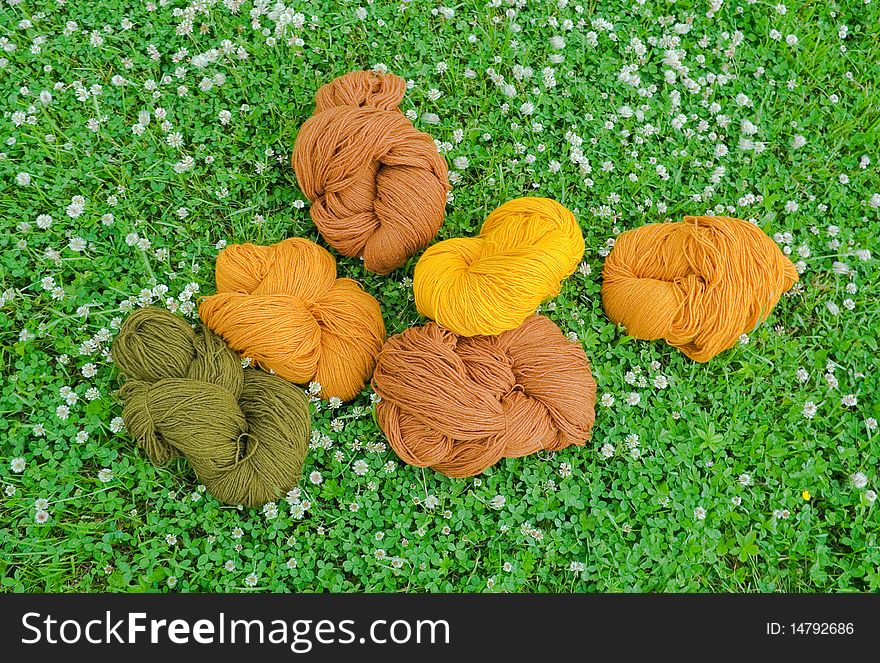 Multicolored yarns on the grass. Multicolored yarns on the grass.