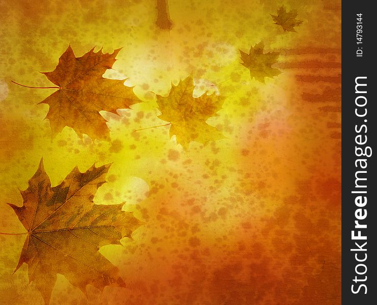 Vintage background with maple leaves