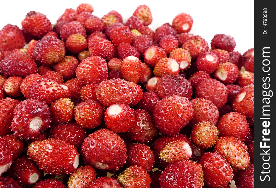 Fotest strawberry close up isolated. Fotest strawberry close up isolated