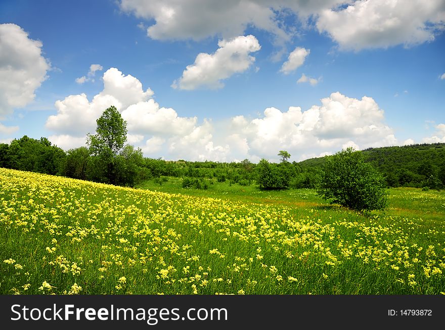 Green field with yellow and white clouds