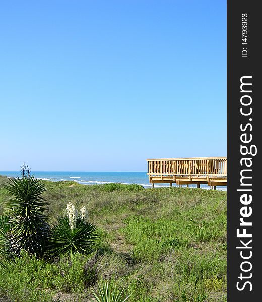 Walkway through the dunes leading to the beach. Walkway through the dunes leading to the beach.