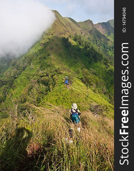 On top mountain in Thailand national park image