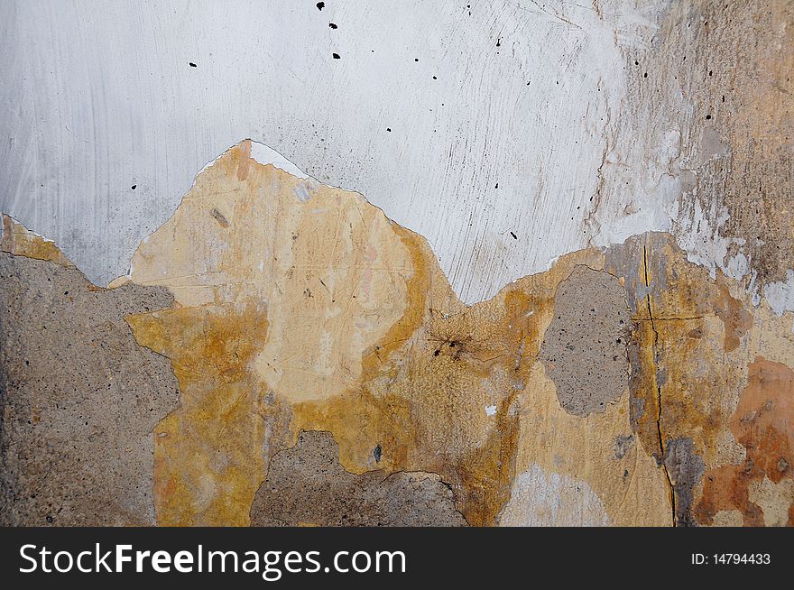 Grunge moldy wall in an abandoned house