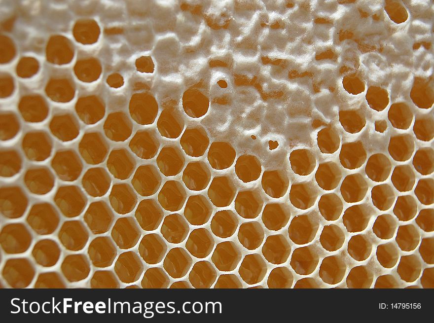 Honeycomb filled with honey partly stuck with beeswax