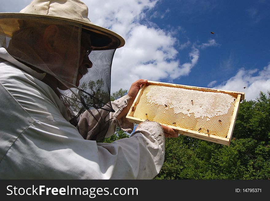 Beekeeper is working in his apiary in summertime