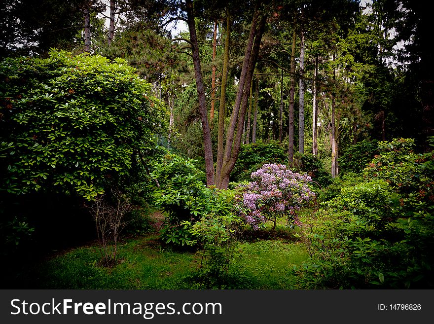 Photograph of  park in spring time