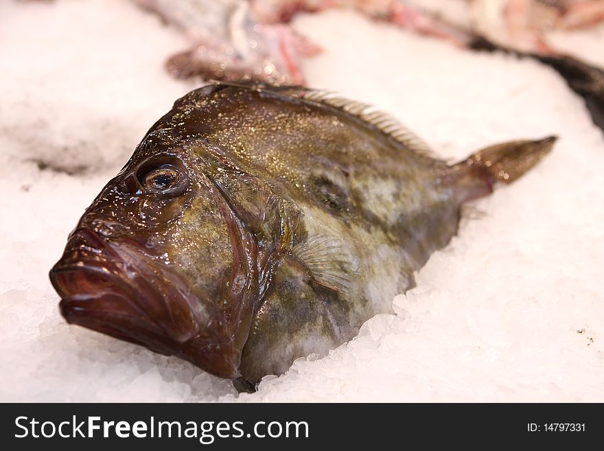 Flat fish in ice at the market