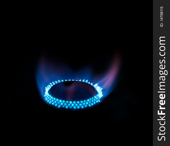 Blue flames from gas burner. Blue flames from gas burner