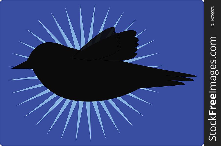 Vector of the bird flying in the sky at night. Vector of the bird flying in the sky at night.