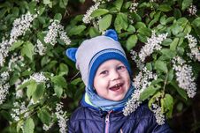 Free Child Near Blooming Tree, Happy Face Stock Photography - 147912612