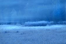 Frosted Early Morning Meadow In Yosemite National Park Stock Photos Frosted Early Morning Meadow In Yosemite National Park Stock Photos