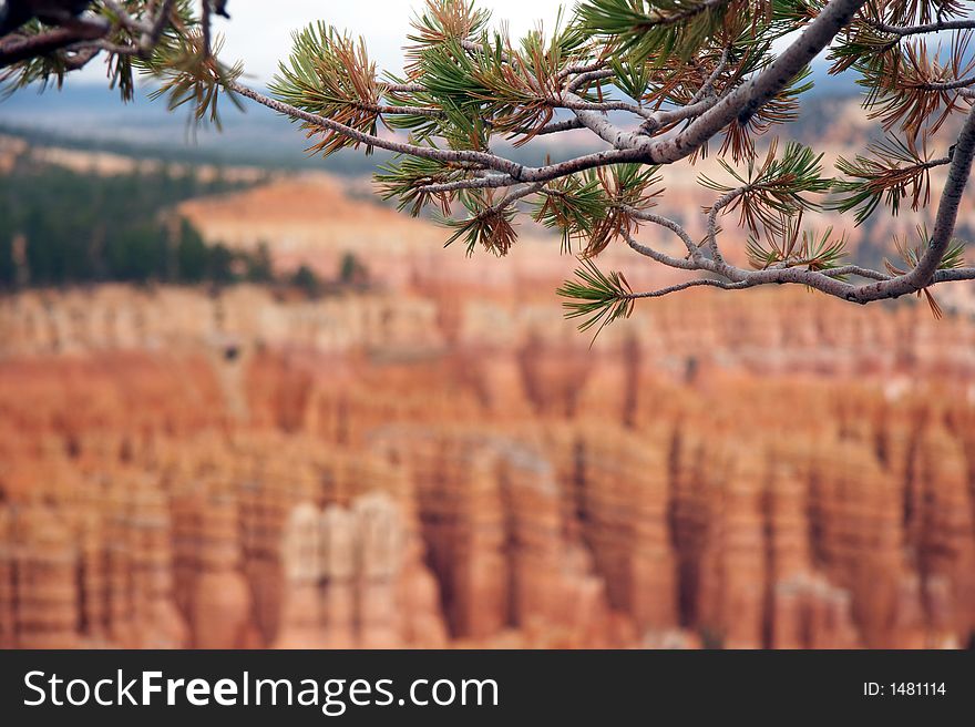 Amphitheater - Bryce Canyon National Park, Utah, USA