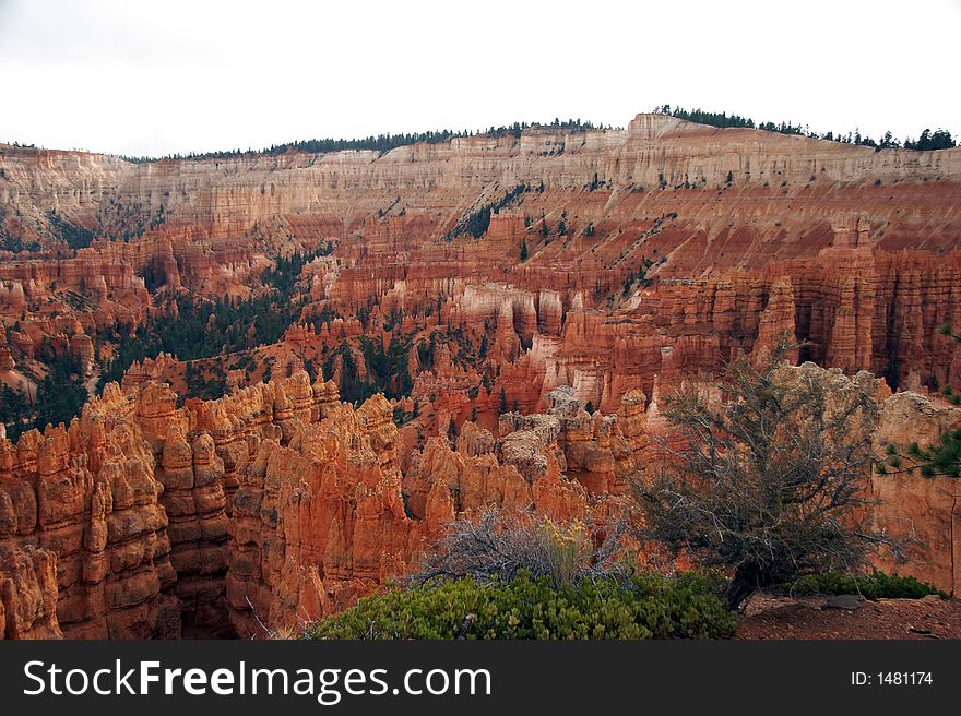 Hoodoos in Amphitheater - Bryce Canyon