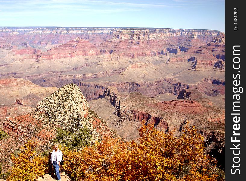 Grand Canyon , southern rim, with the trees in fall colors. Grand Canyon , southern rim, with the trees in fall colors