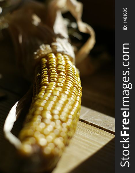 A corncob with shallow depth of field