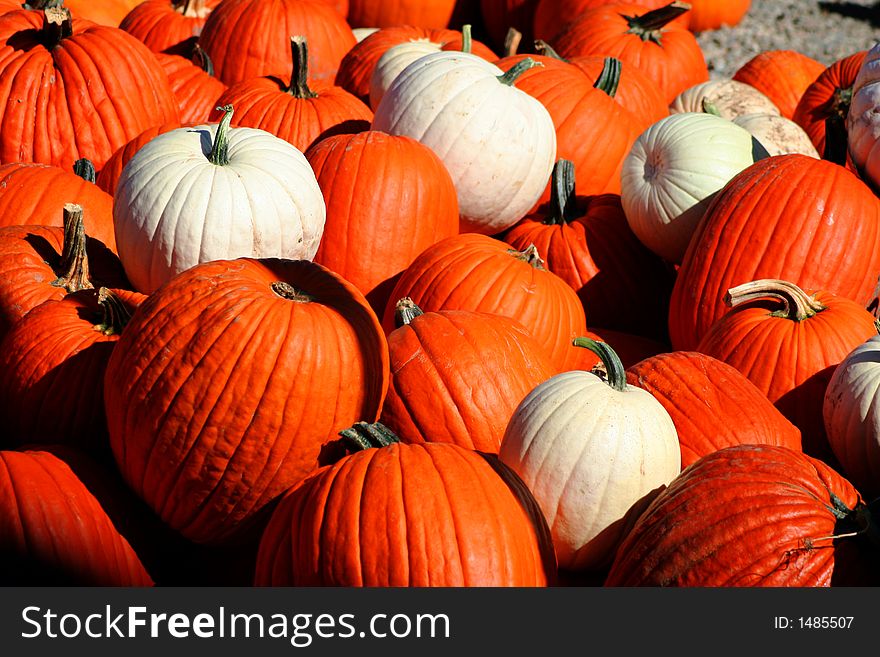 Pile of pumpkins at the local produce stand. Pile of pumpkins at the local produce stand