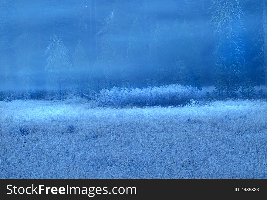 Frosted early morning meadow in Yosemite National Park