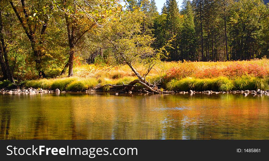 Shore of Merced River in Yosemite National Park in Autumn splendor