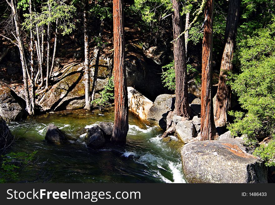 Yosemite National Park, USA