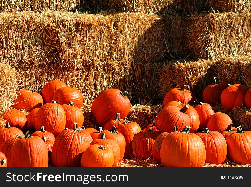 Pile of pumpkins at the local produce stand. Pile of pumpkins at the local produce stand