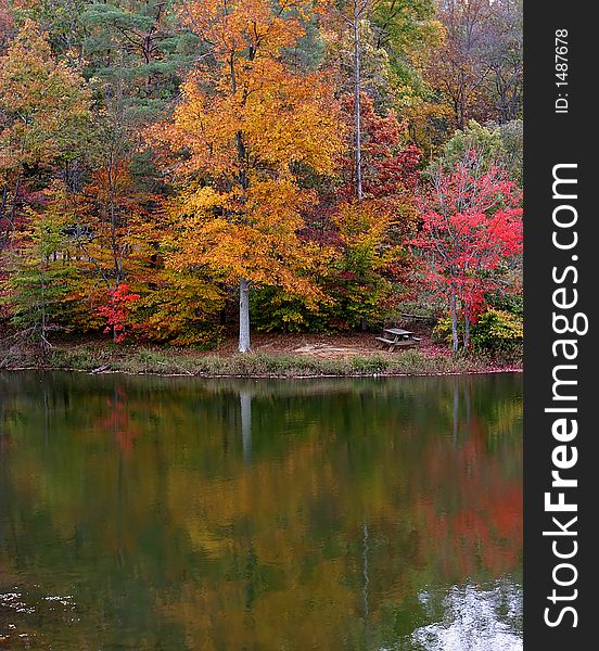 Autumn trees surrounding a lake with reflections in the water. Autumn trees surrounding a lake with reflections in the water.