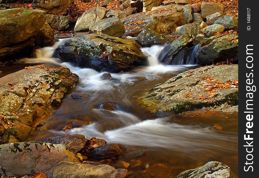 Stream in new jersey state park. Stream in new jersey state park