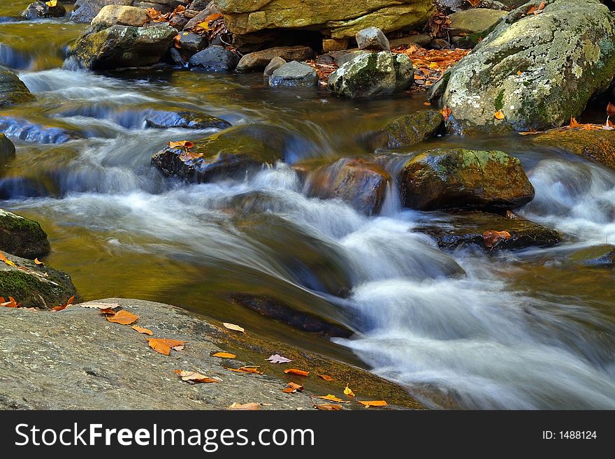 Stream in new jersey state park. Stream in new jersey state park