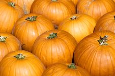 Colorful Pumpkins Royalty Free Stock Photography Colorful Pumpkins Royalty Free Stock Photography