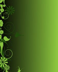 Emerald Elegance Plant Frame Stock Image