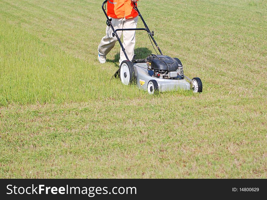 A worker is cutting the grass on the grassy lawn. A worker is cutting the grass on the grassy lawn