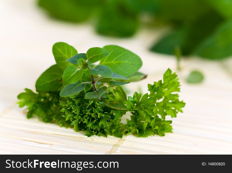 Green bunch of mint and parsley, a closeup shot.