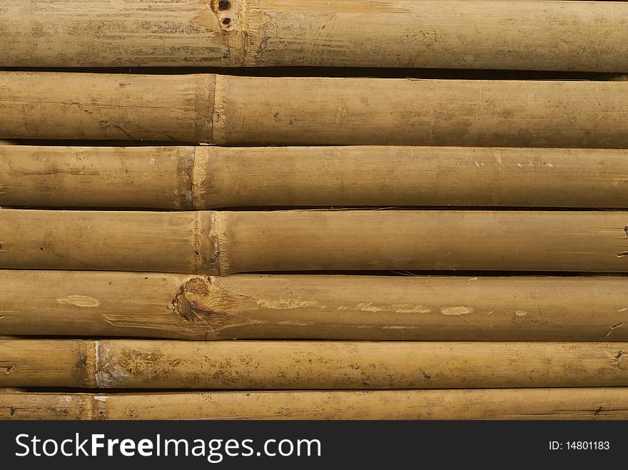 Bamboo in Thailand, Golden bamboo. Bamboo in Thailand, Golden bamboo