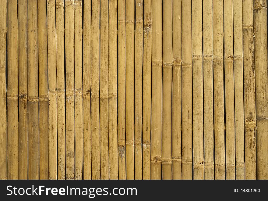 Golden Bamboo In Thailand