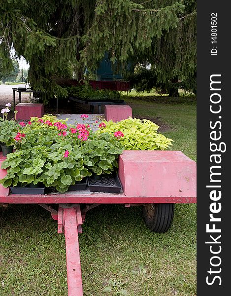 Red trailer with flowering plants in garden centre