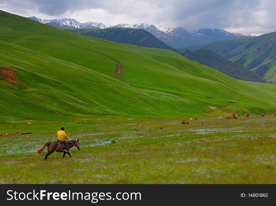 The shepherd on a horse in mountains