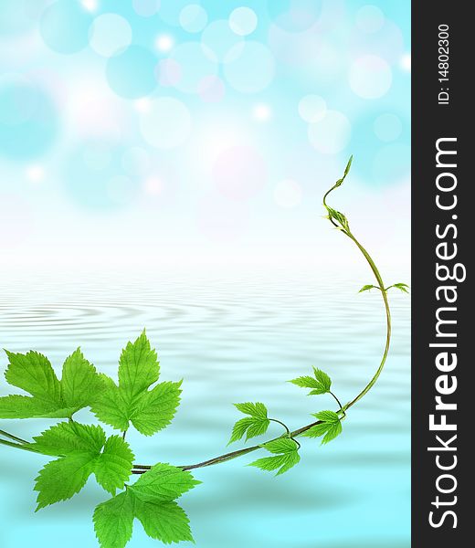 Blue water background with green liana twig. Blue water background with green liana twig