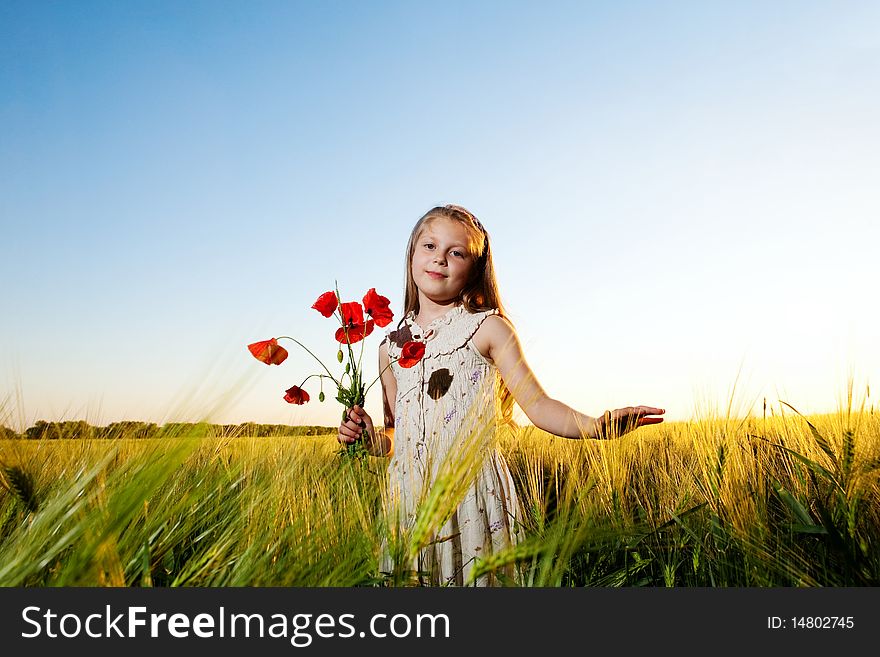 An image of a beautiful girl in the field. An image of a beautiful girl in the field