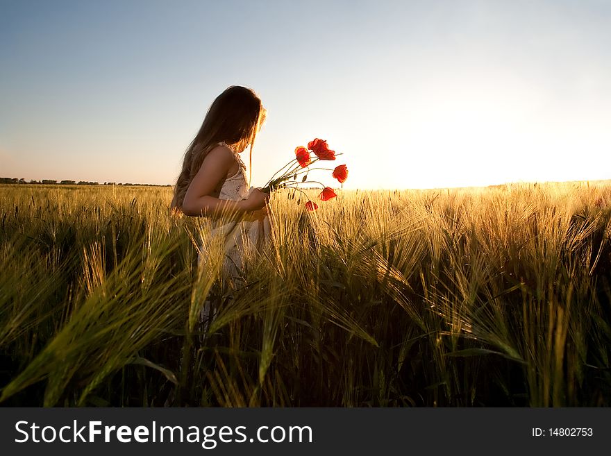 An image of a girl in the field of barley at sunset. An image of a girl in the field of barley at sunset